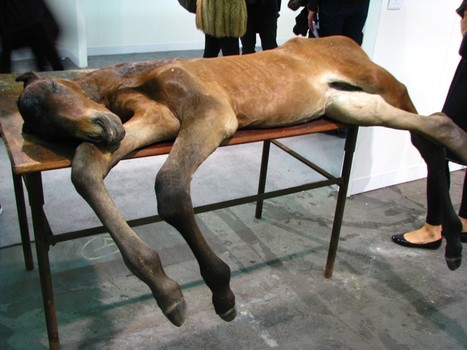 Berlinde de Bruyckere's stuffed horse at Galleria Continua at the Armory. It's interesting to watch people react to this piece. They tend to get quiet in its vicinity — as if the horse had just died